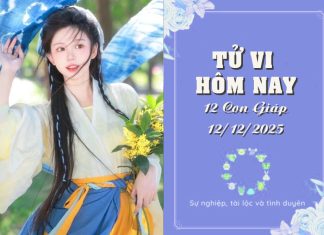 Tử Vi Hôm Nay Thứ 6, 12/12/2025 Của 12 Con Giáp: Hợi Tỏa Sáng, Dậu Đối Mặt Thử Thách Khó Lường Tử vi hôm nay