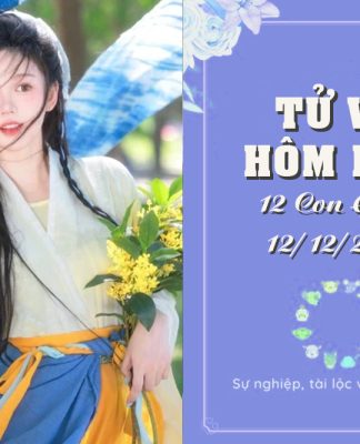 Tử Vi Hôm Nay Thứ 6, 12/12/2025 Của 12 Con Giáp: Hợi Tỏa Sáng, Dậu Đối Mặt Thử Thách Khó Lường Tử vi hôm nay