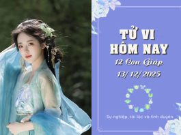 Tử vi hôm nay thứ 7 ngày 13/12/2025 của 12 con giáp: Tuổi Mão gặp sóng gió, tuổi Mùi nhiều biến động Tử vi hôm nay