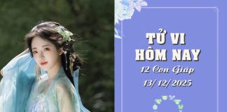 Tử vi hôm nay thứ 7 ngày 13/12/2025 của 12 con giáp: Tuổi Mão gặp sóng gió, tuổi Mùi nhiều biến động Tử vi hôm nay