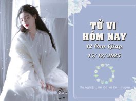 Tử Vi Hôm Nay Thứ 2 Ngày 15/12/2025 Của 12 Con Giáp: Sửu Nhanh Nhạy Đón Vận May, Dậu Căng Thẳng Tìm Giải Pháp Tử Vi Hôm Nay