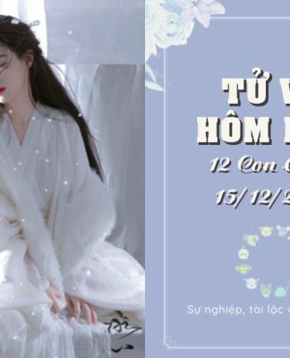 Tử Vi Hôm Nay Thứ 2 Ngày 15/12/2025 Của 12 Con Giáp: Sửu Nhanh Nhạy Đón Vận May, Dậu Căng Thẳng Tìm Giải Pháp Tử Vi Hôm Nay