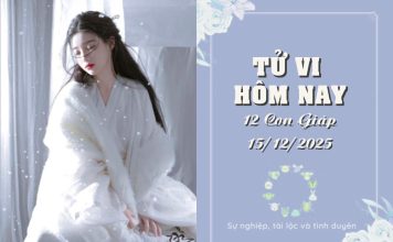 Tử Vi Hôm Nay Thứ 2 Ngày 15/12/2025 Của 12 Con Giáp: Sửu Nhanh Nhạy Đón Vận May, Dậu Căng Thẳng Tìm Giải Pháp Tử Vi Hôm Nay