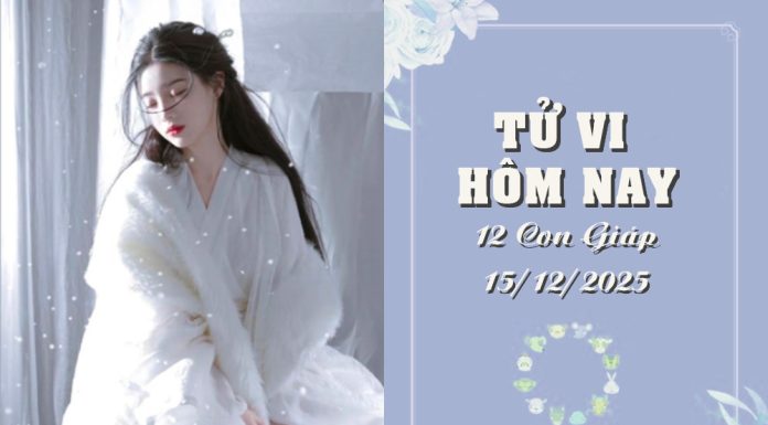 Tử Vi Hôm Nay Thứ 2 Ngày 15/12/2025 Của 12 Con Giáp: Sửu Nhanh Nhạy Đón Vận May, Dậu Căng Thẳng Tìm Giải Pháp Tử Vi Hôm Nay