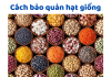Mẹo Bảo Quản Hạt Giống Lâu Năm Giúp Tăng Tỷ Lệ Nảy Mầm Bảo Quản Hạt Giống