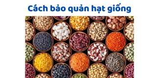 Mẹo Bảo Quản Hạt Giống Lâu Năm Giúp Tăng Tỷ Lệ Nảy Mầm Bảo Quản Hạt Giống