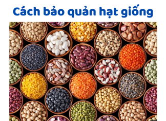 Mẹo Bảo Quản Hạt Giống Lâu Năm Giúp Tăng Tỷ Lệ Nảy Mầm Bảo Quản Hạt Giống