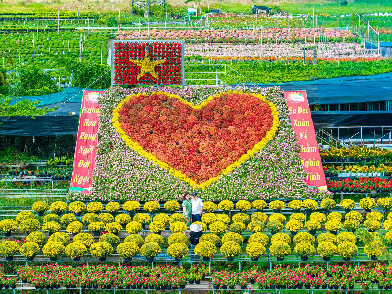 Thủ phủ hoa Sa Đéc lớn nhất miền Tây rộn ràng sắc xuân