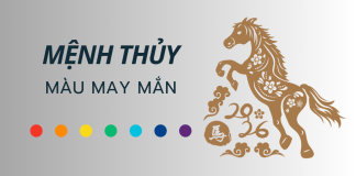 Mệnh Thủy năm 2026 hợp màu gì? Bí quyết chọn màu sắc phong thủy để thu hút may mắn