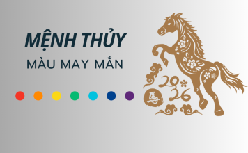 Mệnh Thủy năm 2026 hợp màu gì? Bí quyết chọn màu sắc phong thủy để thu hút may mắn