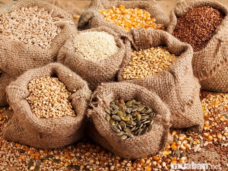 bảo quản hạt giống