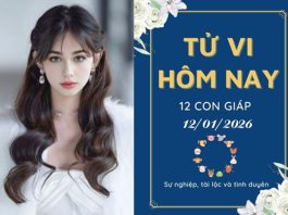 Tử vi hôm nay thứ 2 ngày 12/1/2026 của 12 con giáp: Sửu gặp thị phi, Thân năng động, đón lộc bất ngờ tử vi hôm nay"
