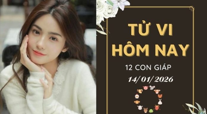 Tử vi hôm nay Thứ 4 ngày 14/1/2026 của 12 con giáp: Tuổi Thân rủng rỉnh lộc lá, tuổi Sửu đại cát đại lợi