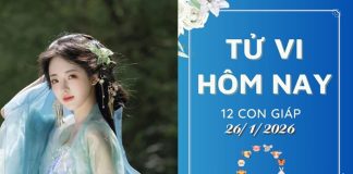 Tử vi hôm nay thứ 2 ngày 26/1/2026 của 12 con giáp: Tý nhẹ nhàng, Mùi tổn thương – Khám phá vận hạn may rủi!