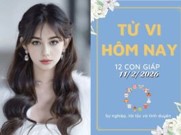 Tử vi hôm nay thứ 4 ngày 11/2/2026 của 12 con giáp: Mùi thoáng tính, Dậu hồng phát – Dự báo chi tiết vận mệnh, tài lộc, tình duyên Tử vi hôm nay