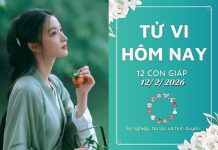 Tử vi hôm nay thứ 5 ngày 12/2/2026: 25 Tết Đinh Tị đón lộc, Thân may mắn bất ngờ