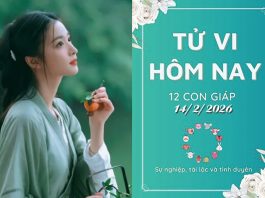 Tử vi hôm nay