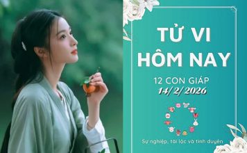 Tử vi hôm nay 14/2/2026 của 12 con giáp: Ngày 27 Tết Ất Tỵ – Khám phá vận mệnh, Sửu đối diện thách thức Tử vi hôm nay