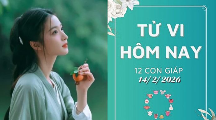 Tử vi hôm nay 14/2/2026 của 12 con giáp: Ngày 27 Tết Ất Tỵ – Khám phá vận mệnh, Sửu đối diện thách thức Tử vi hôm nay