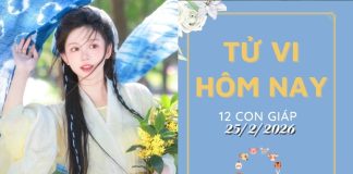 Tử vi hôm nay 25/2/2026: 12 Con Giáp Đón Ngày Mới Thế Nào? Mão Thăng Hoa, Tý Chông Gai! Tử vi hôm nay
