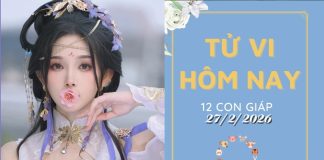 Tử Vi Hôm Nay Thứ 6 Ngày 27/2/2026 Của 12 Con Giáp: Sửu Như Ý, Tị Tài Lộc Dồi Dào! Tử vi hôm nay