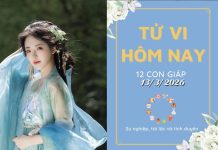Tử vi hôm nay 13/3/2026 của 12 con giáp: Ngọ tài lộc vượng phát, Tý hanh thông rực rỡ tử vi hôm nay