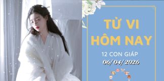Tử vi hôm nay 6/4/2026 của 12 con giáp: Tuổi Dần Thăng Hoa, Tuổi Mùi Cần Thận Trọng Tử vi hôm nay